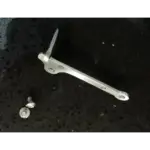 Dornhalter – Bild 2