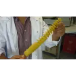 Tempurateig 1 kg – Bild 3